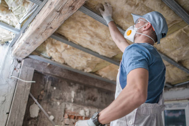 Best Home Insulation Services  in Harleysville, PA